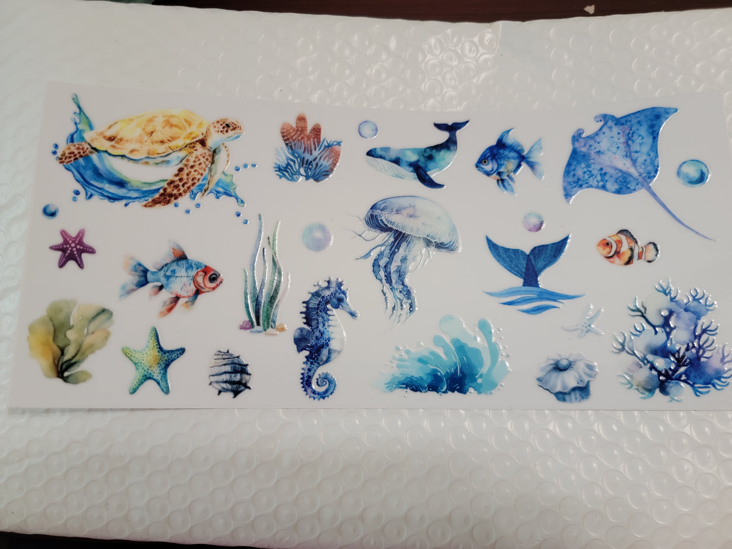Ocean/Lake Wraps & Decals