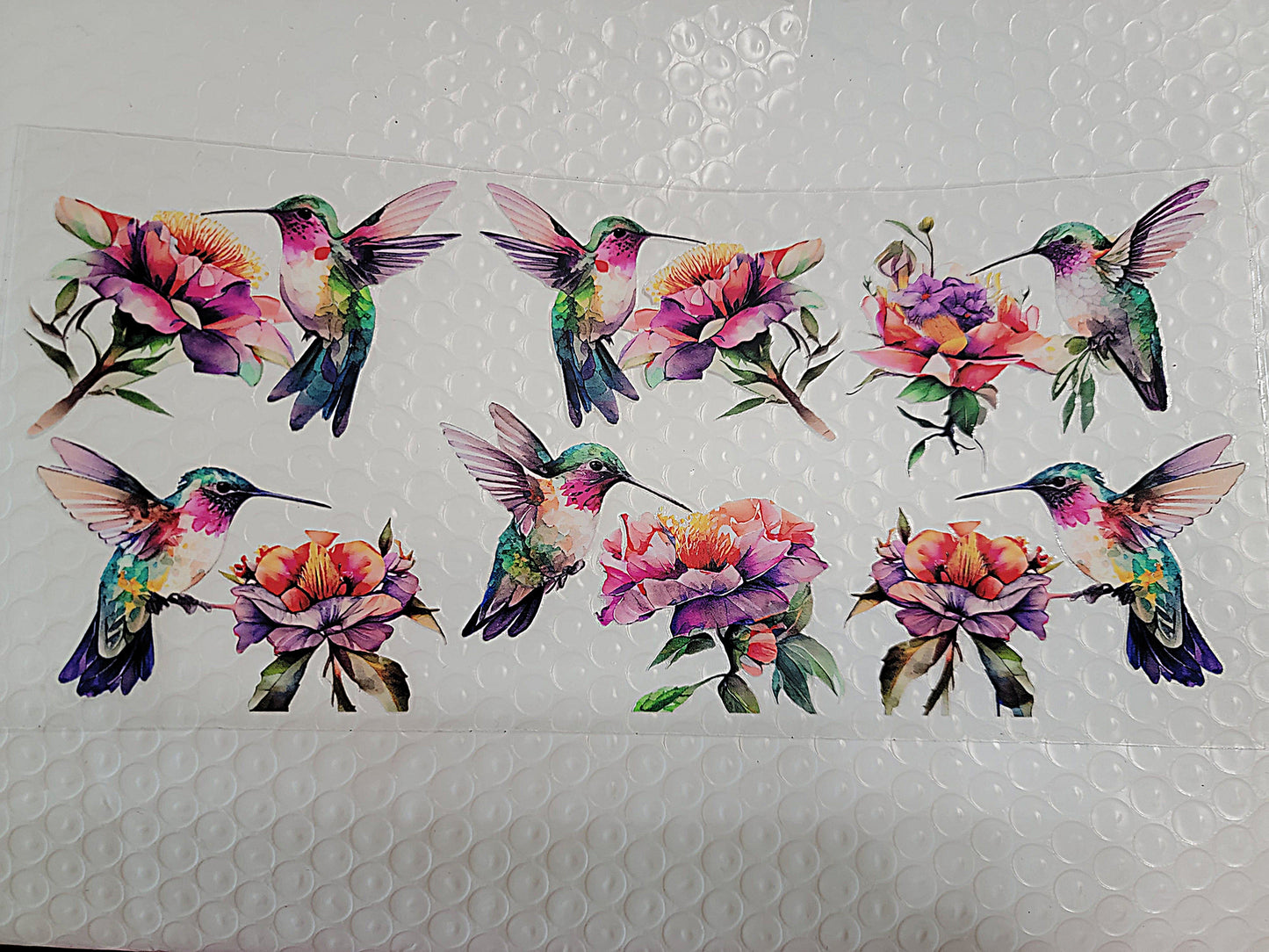 Bird Wraps & Decals