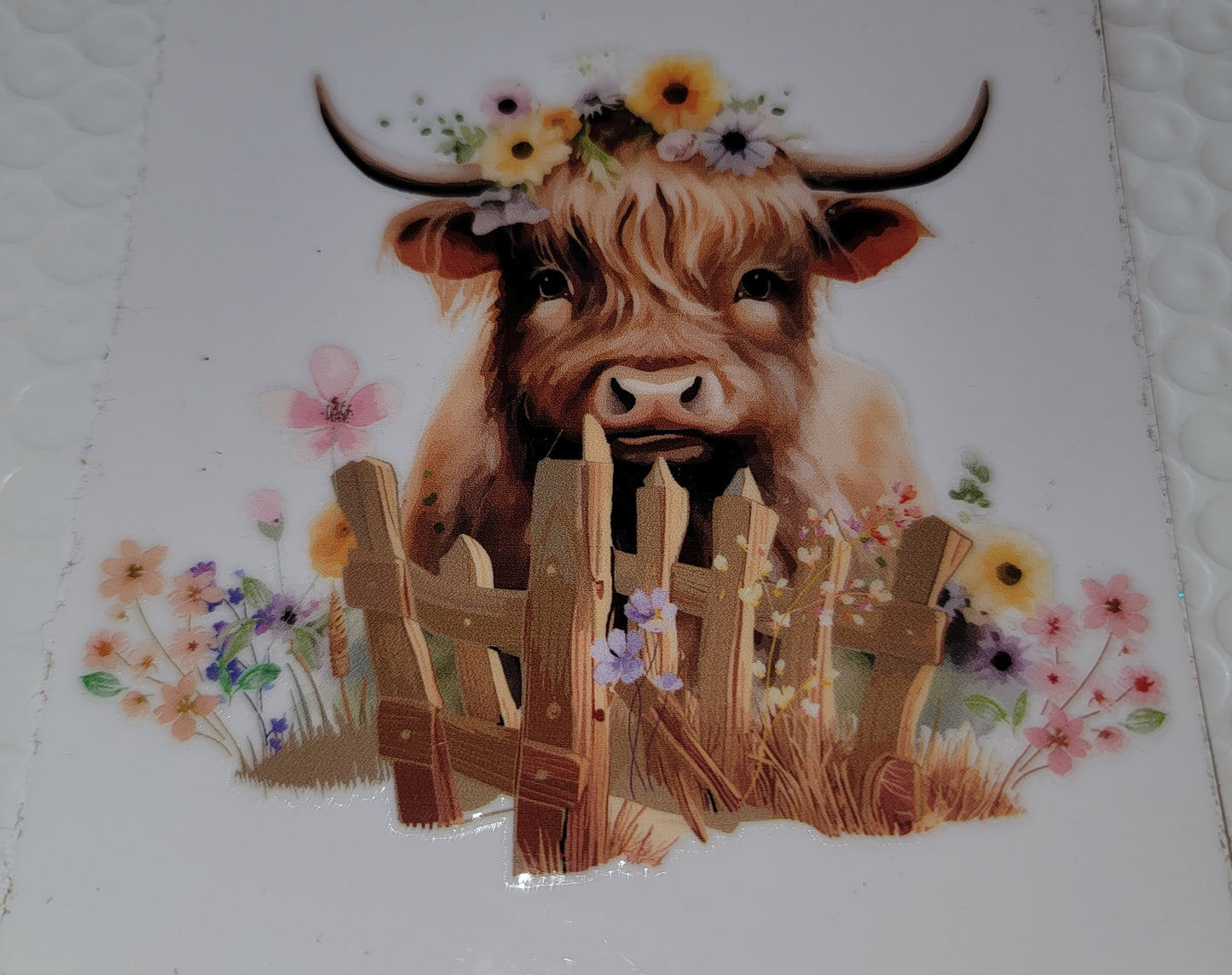 Cow Wraps & Decals