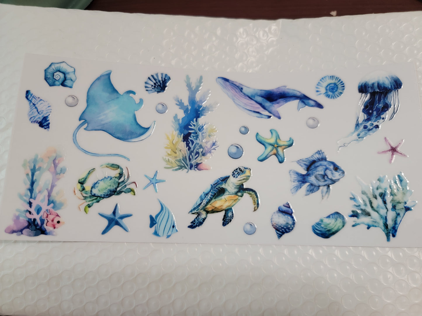 Ocean/Lake Wraps & Decals