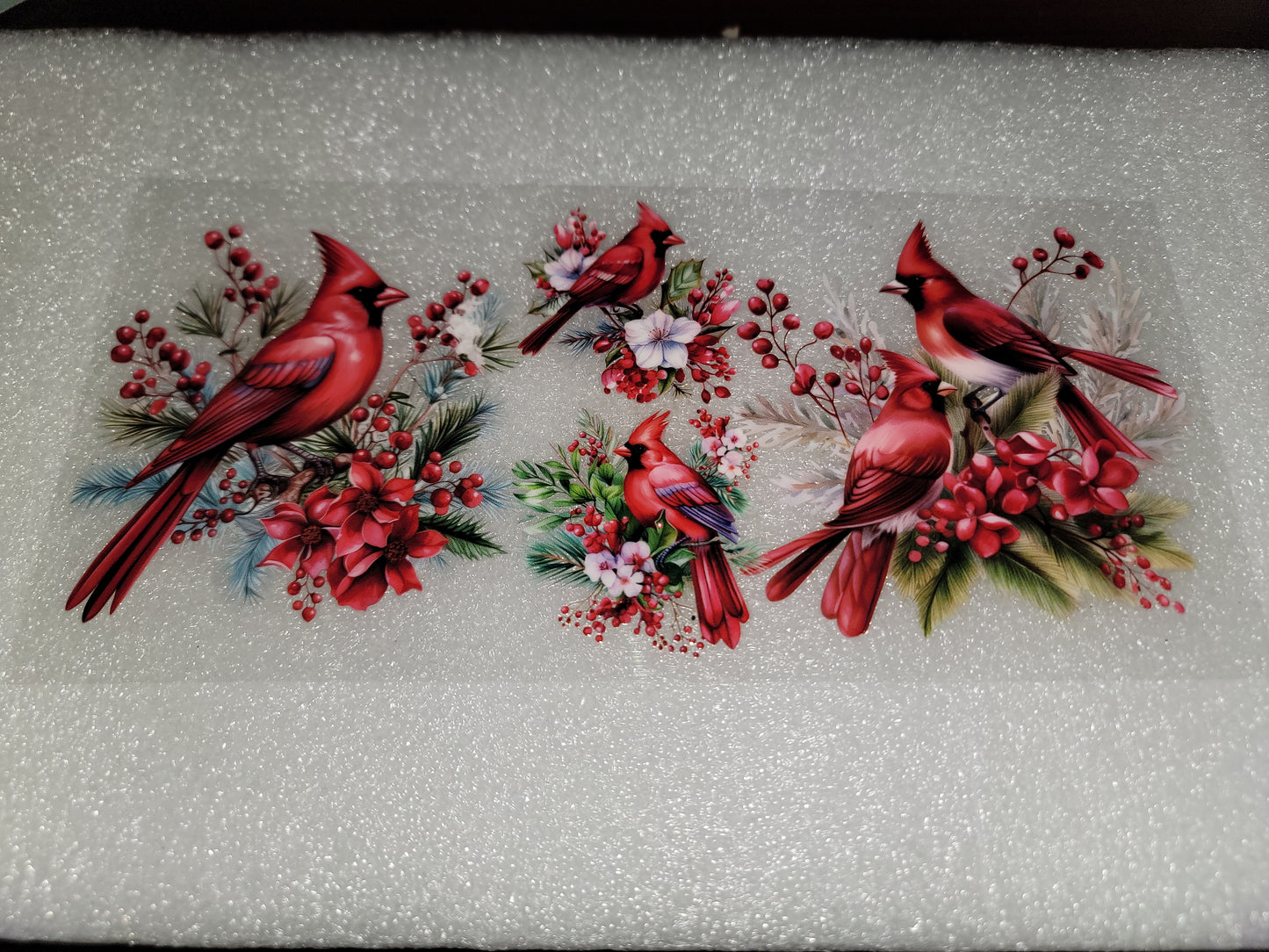 Bird Wraps & Decals
