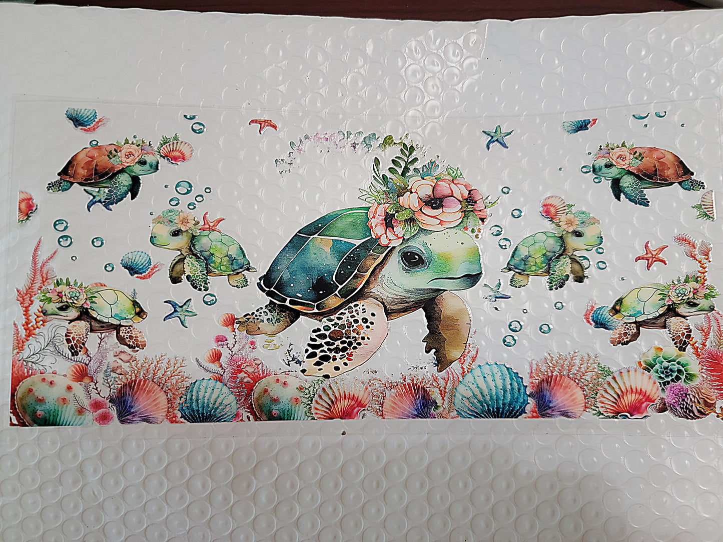 Ocean/Lake Wraps & Decals