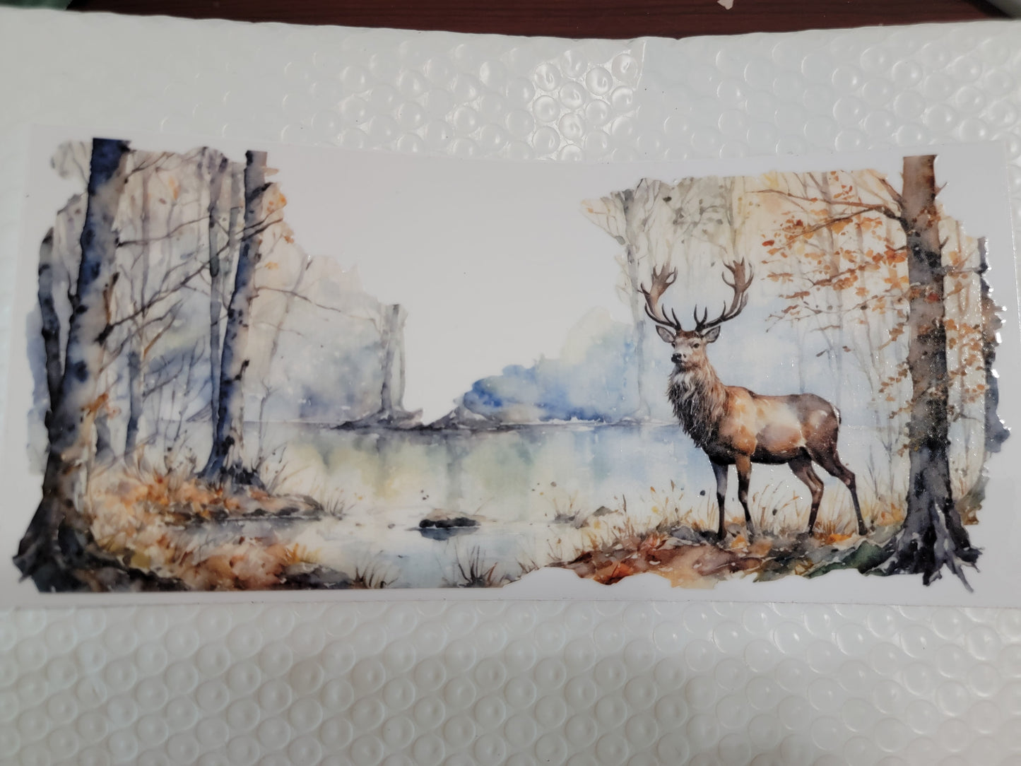 Animal Wraps & Decals