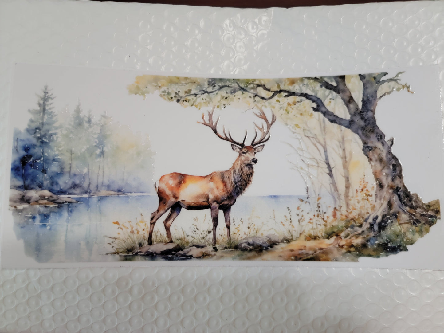 Animal Wraps & Decals