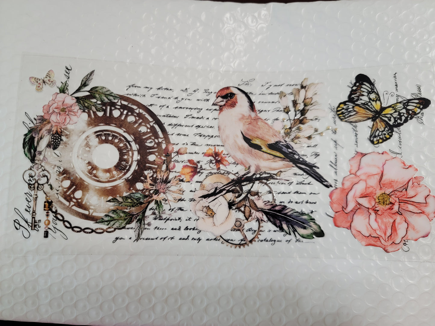 Bird Wraps & Decals