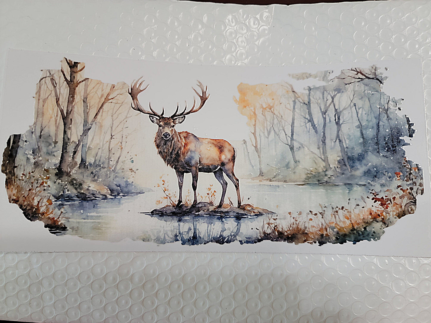 Animal Wraps & Decals