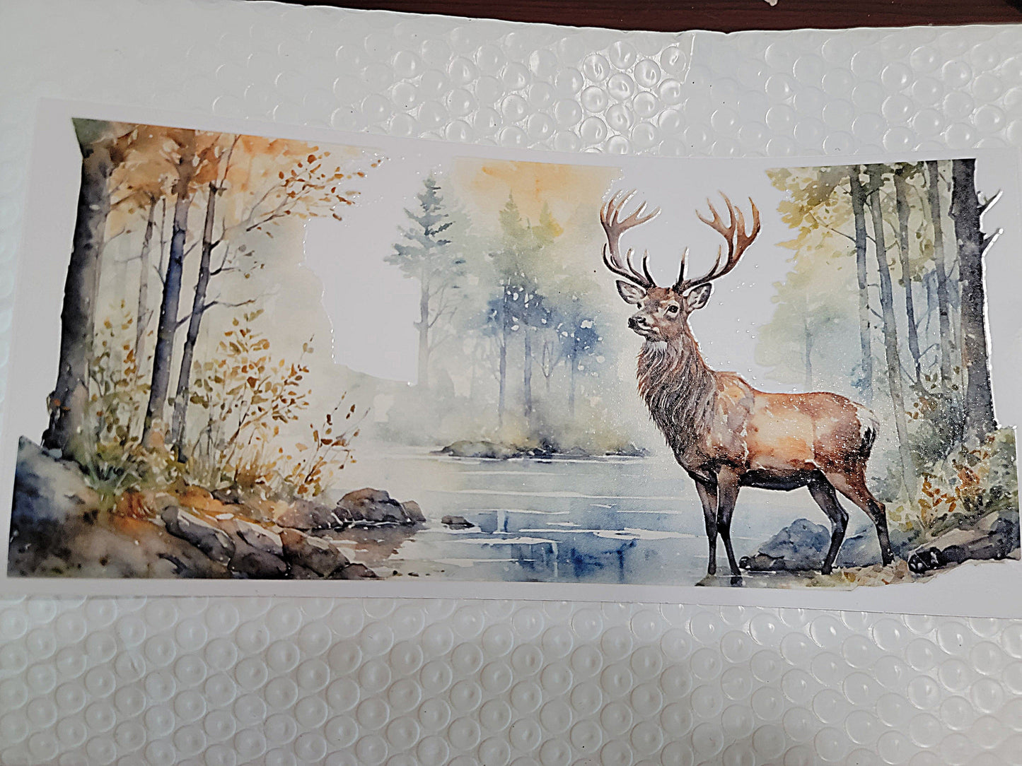 Animal Wraps & Decals