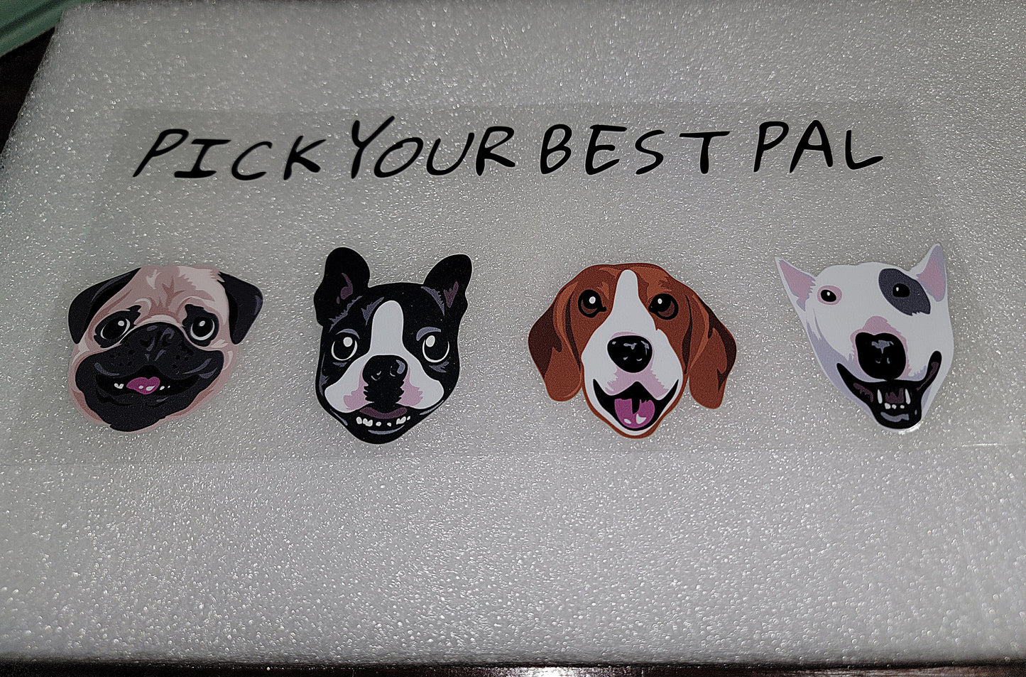 Animal Wraps & Decals